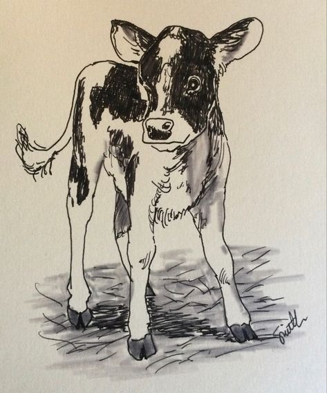 Pen sketch of a Holstein calf for my Great-Niece’s 1st Birthday Card. I really enjoy drawing on card blanks for family birthday cards. Cow With Calf Drawing, Vintage Cow Drawing, Pen Drawing Of Animals, Farm Animals Sketch, Cow Calf Drawing, Cow Drawing Sketch, Cow Drawing Reference, Long Horn Drawing, Cow Sketch Drawings