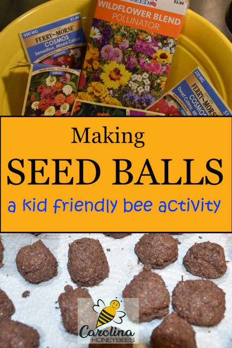 How to make wildflower seed balls for bees, #carolinahoneybees #seedballs #beefriendlygardens Imbolc Ideas, Palanca Ideas, Flowers For Bees, Fun Garden Projects, Bee Ideas, Bee Games, Bee Activities, Green Market, Seed Balls