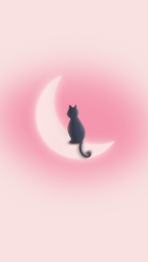 Pink Cat Wallpaper Iphone, Black With Pink Wallpaper, Pink Cat Background, Pastel Pink Lockscreen, Cat Pink Aesthetic, Pink Lockscreen Aesthetic, Pink Cat Aesthetic, Cute Cat Wallpaper Aesthetic, Pink Aesthetic Lockscreen