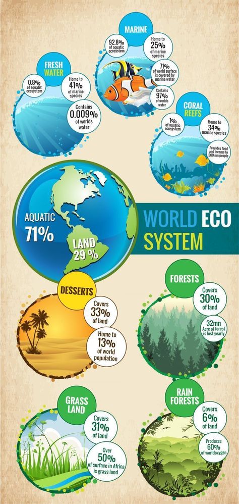 System Infographic, Science Computer, Engineering Books, Eco System, 7th Grade Science, Teaching Geography, Science Engineering, Aquatic Ecosystem, Earth And Space Science