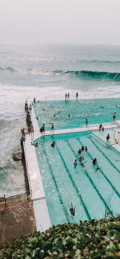 Swimming Pool Wallpaper, Pool Wallpaper, Beach Phone Wallpaper, People Swimming, Australia Sydney, Sea Photo, Teal Wallpaper, Adorable Wallpapers, Neon Wallpaper