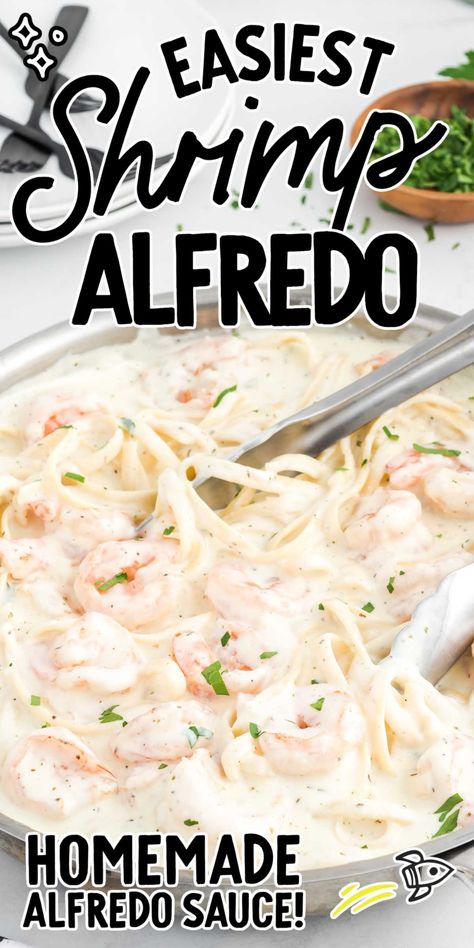 Shrimp Pasta Recipes Creamy, Shrimp Pasta Recipes Easy, Shrimp Alfredo Recipe, Shrimp Fettuccine Alfredo, Pasta Recipes Alfredo, Fettuccine Alfredo Recipes, Creamy Pasta Recipes, Shrimp Alfredo, Seafood Pasta Recipes