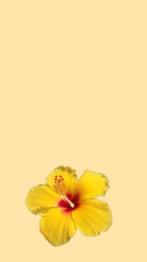 #wallpaper #nature #vibes #yellow #hibiscus #aesthetic #collageart Hibiscus Aesthetic, Nature Vibes, Yellow Hibiscus, Wallpaper Nature, Preppy Wallpaper, Collage Art, Hibiscus, Yellow, Nature