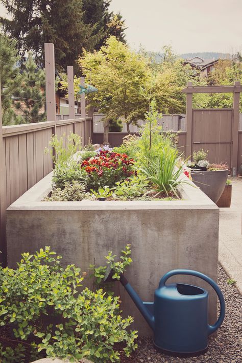 Raised Concrete Planter - Modern - Landscape - Other - by Regenesis Ecological Design | Houzz Concrete Garden Beds, Small English Garden, Ecology Design, Courtyard Gardens Design, Front Garden Design, Herbs And Flowers, Natural Stone Pavers, Herb Planters, Concrete Planter