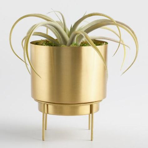 Brass Planter with Stand | World Market Brass Planters Ideas, Room Greenery, Brass Floor Planter, Gold Pots For Plants, Brass Flower Pot, Brass Planter With Stand, Planter With Stand, Best Interior Design Websites, Gold Planter