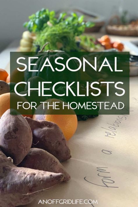 Homestead Checklist, Homesteading Checklist, Seasonal Homestead, Making Dill Pickles, Growing Vegetables Indoors, Pantry Challenge, Dill Pickle Recipe, Dinner Rolls Recipe, Permaculture Design