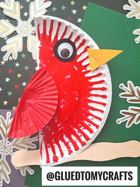 Red Craft Preschool, Pre K Bird Craft, Kindergarten Paper Plate Crafts, Cardinal Preschool Craft, Seasons Crafts For Preschoolers, Crafts 3 Year, Preschool Birds Activities, Paper Plate Animals Crafts Preschool, Circle Craft For Toddlers