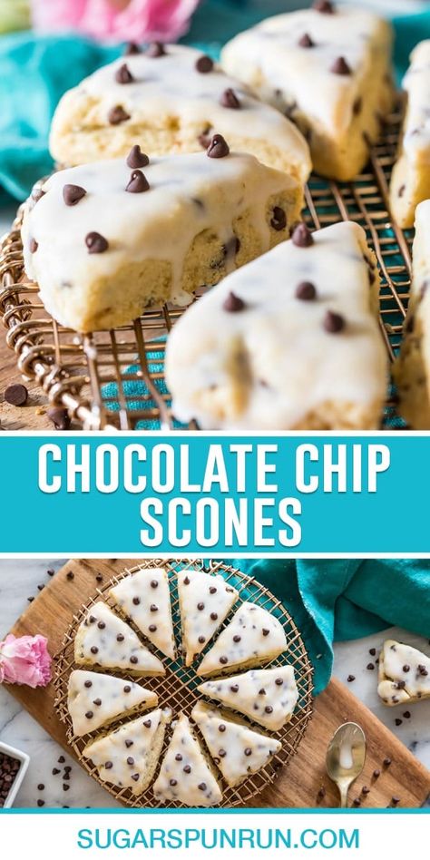 Chocolate Chip Scones - Sugar Spun Run Glaze For Scones, Chocolate Chip Scones, Best Chocolate Chip Scones, Chocolate Chip Scones Recipe Easy, Chocolate Chip Scones With Heavy Cream, Scone Recipes, Chocolate Chips Scones Recipe, Little Spoon Farm Chocolate Chip Scones, Clotted Cream Recipes