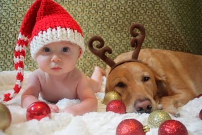 Christmas Diy Photoshoot, Photoshoot Baby Ideas, Diy Christmas Photoshoot Baby, Christmas Photoshoot Newborn, First Christmas Diy, Newborn Christmas Pictures, Diy Christmas Photoshoot, Newborn And Dog, Christmas Card Dog