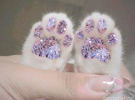 cat with diamond paws Glitter Aesthetic, Glitter Photography, Glitter Art, Rainbow Maker, Cat Aesthetic, Sparkles Glitter, Cat Paws, All That Glitters, Pink Aesthetic