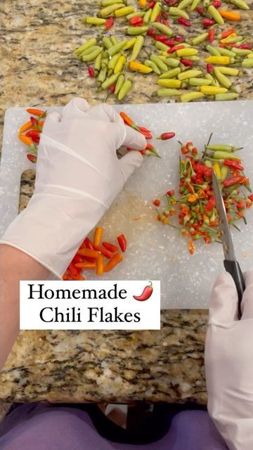 What To Do With Tabasco Peppers, How To Use Tobasco Peppers, Dehydrating Hot Peppers, How To Dehydrate Peppers In Dehydrator, Tabasco Pepper Recipes, Dehydrated Hot Peppers, Drying Hot Peppers, Dehydrated Peppers, Drying Peppers In Dehydrator