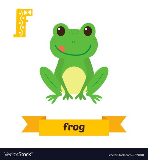 F For Frog, Zoo Preschool, Nature Font, Alphabet Animals, F Letter, Cute Letters, Animal Alphabet, Letter F, Funny Cartoon