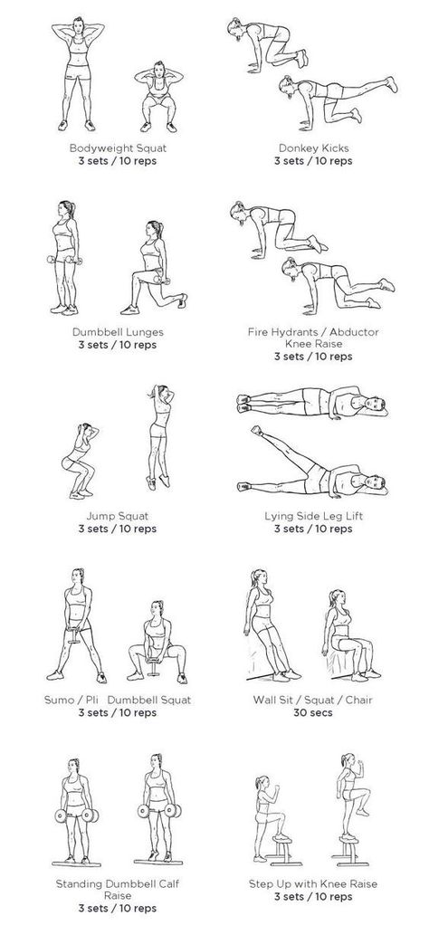 bottom workout Wall Squat, Body Squats, Dumbbell Squat, Donkey Kicks, Glute Workout, Printable Workouts, Bottom Workout, Gym Routine, Leg Lifts