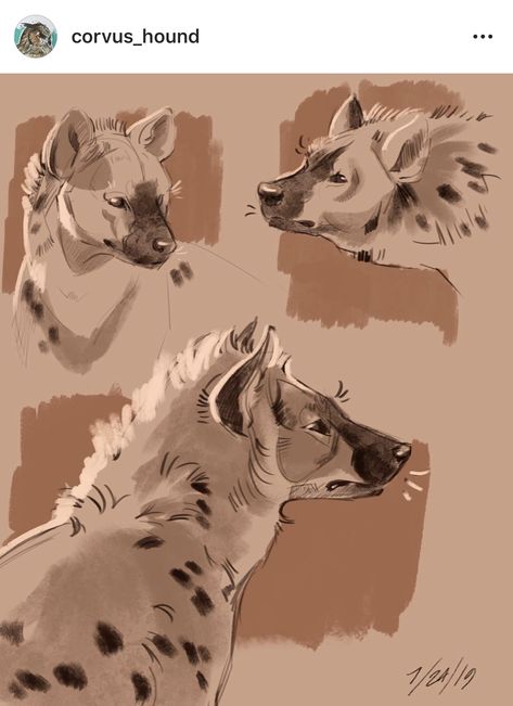 Fursona Art Hyena, Spotted Hyena Drawing, Hyena Art Drawings, Hyena Oc Art, Wildebeest Drawing, Hyena Anatomy, Hyena Sketch, Hyena Reference, Hyena Fursona