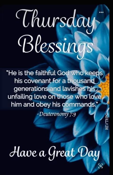 Thursday Blessings via Deuteronomy 7:9 quotes thursday happy thursday happy thursday images happy thursday quotes and sayings thursday blessing scriptures thursday quotes 2023 images for thursday Thursday Morning Prayer, Thursday Prayer, Happy Thursday Images, Friday Inspirational Quotes, Thursday Inspiration, Thursday Greetings, Trip To Egypt, Thursday Blessings, Happy Thursday Quotes