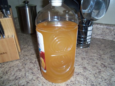 How to make easy homemade apple wine Apple Wine Recipe, Pear Wine, Homemade Wine Recipes, Mead Wine, Apple Wine, Peach Wine, Homemade Alcohol, Dessert Wine, Homemade Liquor