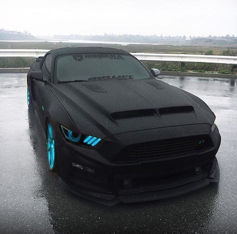 Siyah Mustang, Matte Black Cars, Black Mustang, Ford Mustang Car, Bonnie Wright, Bmw M6, Custom Muscle Cars, Mustang Cars, Fancy Cars