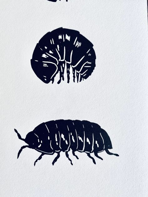 Woodlouse Linocut Print-insect Print-pill Bug Print-nature Art-wall Decor-wildlife Print-handmade Lino Print - Etsy Bug Wall Art, Pill Bug Drawing, Insect Linocut, Bug Linocut, Bugs Drawing, Pill Bug, Bug Print, Lino Printing, Insect Print