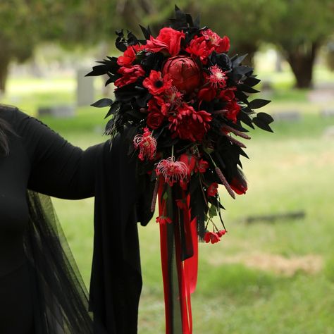 This Large Statement cascading bridal bouquet is made up of Black Roses Deep Red Roses, Black Italian Ruscus Leaves and various other flowers including Black Anthurium, Mums, etc. . This hand tied bouquet is ready for your amazing Dark + Moody, Contemporary or Goth wedding. It's our newest addition to our floral collection. . http://Bouquets.Wedding for more styles and selections of pre-made bouquets and boutonnieres. We take orders for custom creations! or http://GothicWeddingBouquets.com ... Red And Black Cascading Bouquet, Red Cascade Bridal Bouquet, Red And Black Wedding Bouquets, Black And Red Flower Bouquets, Diy Gothic Wedding, Cadaver Collector, Wedding Flowers Dark, Black Anthurium, Witchy Flowers