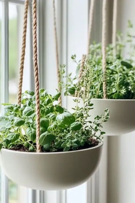 Transform your kitchen with a stunning DIY hanging herb garden. This project is perfect for home cooks looking to keep fresh herbs on hand while adding a touch of nature to their decor. Discover easy steps to hang planters, select herbs like basil and thyme, and maximize your kitchen space. Whether you're limited on counter space or simply want to beautify your cooking area, this hanging garden is an ideal solution. Enjoy the benefits of fresh herbs right at your fingertips while stylishly enhancing your kitchen's ambiance. Kitchen With Herb Garden, Kitchen Counter Herb Garden, Drying Herbs Hanging, Hanging Herb Garden Indoor, Diy Hanging Herb Garden, Kitchen Window Herb Garden, Apartment Herb Gardens, Kitchen Herb Garden, Window Herb Garden