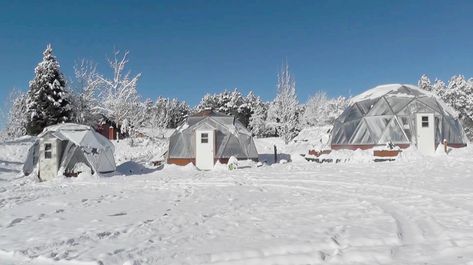 Geodesic Greenhouse, Above Ground Pond, Geodesic Dome Greenhouse, Dome Greenhouse, Canada Winter, Winter Greenhouse, Winter Gardening, Thermal Mass, Greenhouse Growing