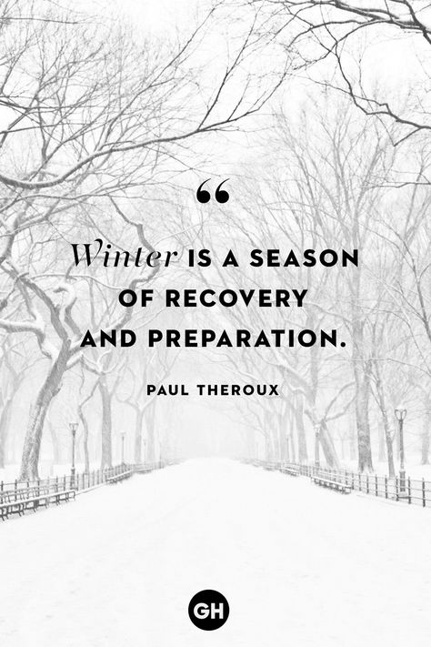 winter quotes Cute Winter Quotes, Winter Season Quotes, Renewal Quotes, December Quotes, Season Quotes, Welcome Winter, Winter Quotes, Cozy Season, Winter Aesthetic