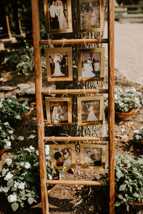 Memory Ladder For Wedding, Wedding Photo Board Display, Memory Ladder Wedding, Ladder Photo Display, Ladder Wedding Decor, Classy Country Wedding, Photo Ladder, Vintage Engagement Party, Ladder Wedding