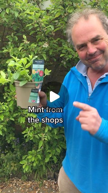 Simon Akeroyd on Instagram: "How to propagate mint from cuttings. Mint can also be divided to create extra plants. Just don’t plant mint directly in the ground, whatever you do! It spreads like crazy!  #growyourown #gardening #gardeninghack" How To Propagate Mint, Propagate Mint, Mint Garden, Growing Mint, Mint Plants, Garden Hacks, Garden Food, Gardening Hacks, Diy Gardening