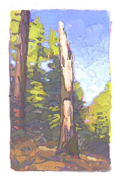 Gouache Artists, Thomas Paquette, Desolation Wilderness, Gouache Painting Techniques, Small Words, A Level Art, Art Historian, Contemporary Artist, Gouache Painting