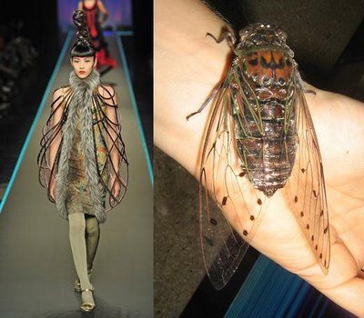 Nature Inspired Fashion, Insect Wings, Futuristic Fashion, Fashion Design Drawings, Fashion Inspiration Design, Fashion Design Sketches, Back To Nature, Paul Gaultier, Fantasy Fashion