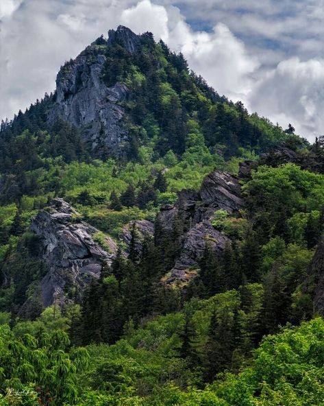 "Looking towards Grandfather Mountain."  Shared by Michael Tucker on "North Carolina Hiking and Waterfalls" Facebook page. North Carolina Mountains Tattoo, Grandfather Trail Nc, Pilot Mountain North Carolina, Mountains In North Carolina, Grandfather Mountain North Carolina, North Carolina Hiking, Mountain Streams, Grandfather Mountain, Nc Mountains