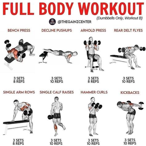 All fitness tips🇺🇸 (@all_fitness_tips) posted on Instagram: “🔴 FULL BODY WORKOUT (Dumbbells Only, Workout B) 🔴 - 📥 Be sure to SAVE this for later!⠀ 📲 Turn on post notifications so you don't miss…” • Apr 19, 2021 at 6:53am UTC Full Body Workout Dumbbells, Full Body Weight Workout, Full Body Workout Plan, Dumbbell Exercises, Full Body Dumbbell Workout, Whole Body Workouts, Dumbell Workout, Full Body Workout Routine, Workout Training Programs