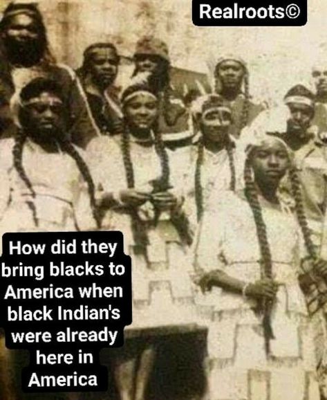 African History Truths, Aboriginal History, African American History Facts, American Indian History, Black Fact, Black Indians, History Quotes, Indigenous Americans, Black Knowledge