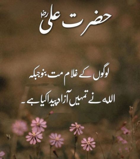 Good Manners Quotes, Manners Quotes, Hassan Ali, Muslim Words, Islamic Lines, Hazrat Ali Sayings, Urdu Quotes Images, Impress Quotes, Good Morning Flowers Quotes