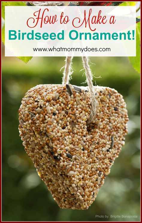 How to Make a Bird Seed Ornament - Just five main ingredients in this recipe. After a couple of birdseed ornament fails with peanut butter, I'm excited about this easy recipe that has corn syrup and gelatin instead! I can't wait to watch birds out our window with the kids! I think these would be lovely neighbor gift ideas as well. Traditional Birdhouse, Bird Seed Ornaments Recipe, Neighbor Gift Ideas, Seed Ornaments, Ranger Rick, Make A Bird, Bird Seed Ornaments, Bird Seed Feeders, Homemade Bird Feeders