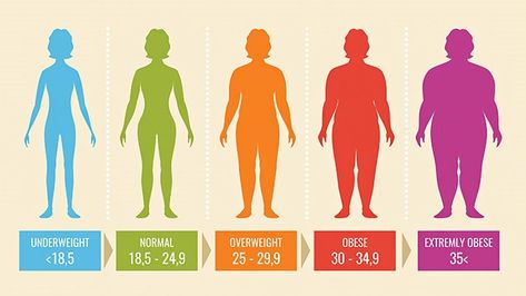 Body mass index (BMI) is a common measure for obesity, but it isn’t perfect. In this detailed article, learn the BMI ranges for adult men and women, find out if yours is too high or too low, and learn what to do if you need to get your number down. Normal Weight, Everyday Health, Ideal Weight, Weight Management, Diet And Nutrition, Height And Weight, Body Weight, Healthy Habits, How To Stay Healthy