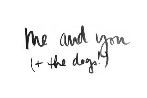 Dog Mom Quotes Humor, Dogs Quotes, Dog Mom Quotes, Jenna Kutcher, Dog Lover Quotes, Monday Humor, Quotes Humor, Crazy Dog Lady, Dog Print Art