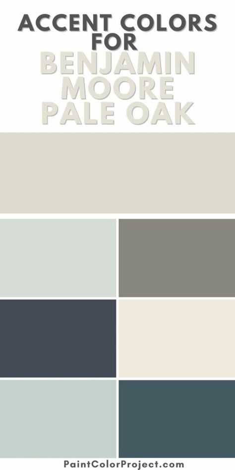 The best accent colors to pair with Benjamin Moore Pale Oak paint color Pale Oak Colour Palette, Colors With Pale Oak, Pale Oak Whole House Palette, Living Room Paint Color Ideas With Oak Trim, Bm Pale Oak Kitchen, Pale Oak Benjamin Moore Coordinating Colors, Pale Oak Palette, Colors That Go With Pale Oak, Benjamin Moore Accent Wall Colors