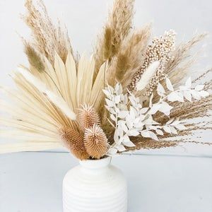 Banksia Pampas Grass Small Vase Arrangement | Etsy Bud Vases Arrangements, Thistle Bouquet, Pampas Grass Vase, Grass Backdrops, Lotion Stick, Flowers Centerpieces, Pampas Grass Bouquet, Pampas Grass Decor, Grass Decor