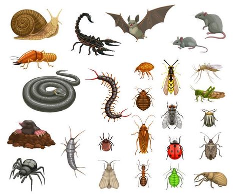 Pests insects disinfection, animals dera... | Premium Vector #Freepik #vector #house Poisonous Insects, Poisonous Animals, Bat Png, Bat Vector, Insect Clipart, Vector House, Doodle Characters, Insect Collection, Insect Control