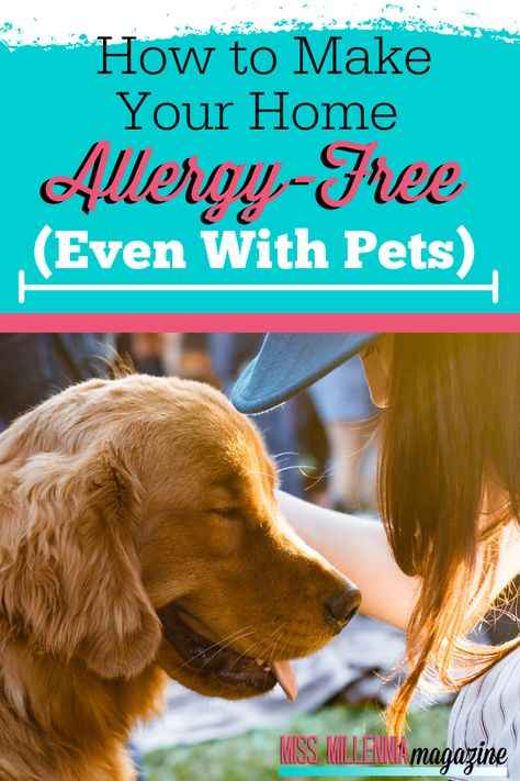 Viva Paper Towels, Dusting Spray, Pet Allergies, Allergy Relief, Dog Allergies, Sponsored Posts, Reduce Food Waste, Pet Owner, Allergy Free