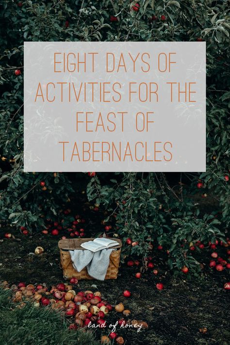 Feasts Of Tabernacle, How To Celebrate Feast Of Tabernacles, Jewish Fall Feasts, Jewish Feasts And Festivals, Feast Of The Tabernacle, Biblical Feasts And Festivals, Feast Of Booths, Feast Of Tabernacles Ideas, Feast Of Tabernacles Food