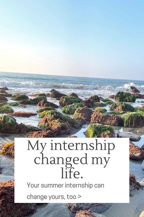 An internship can be one of the most formative pre-professional experiences you have/ Are you ready to get started? Dream Internship Aesthetic, Summer Internship, Dream Summer, Academic Motivation, 2024 Vision, How To Take, Last Minute, Your Dream, Dreaming Of You