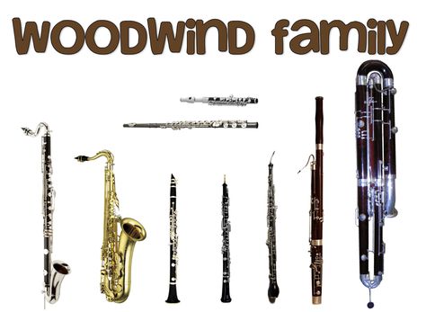 Musical Instruments and their Families Series: The Woodwind Family — Musichalice Woodwind Family, Instruments Of The Orchestra, Instrument Families, Music Teaching Resources, Elementary Music Lessons, French Worksheets, Woodwind Instrument, Woodwind Instruments, Book Creator