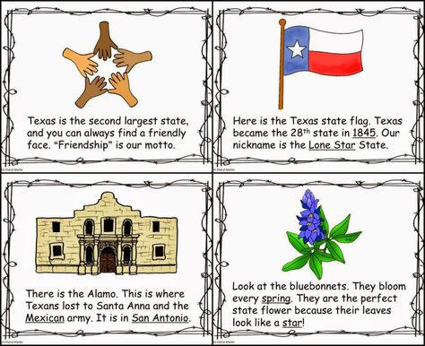 Texas History Classroom, Llama Classroom, Texas Symbols, Texas Theme, Social Studies Projects, Homeschool Lessons, Texas State Flag, Geography For Kids, 4th Grade Social Studies