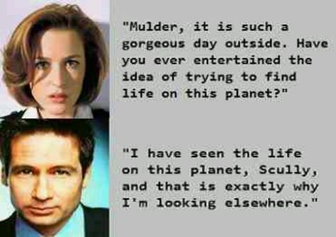 . X Files Quotes, X Files Funny, Silly Words, A Box Of Chocolates, Words Beautiful, Mulder Scully, Pretty Heart, Fox Mulder, Box Of Chocolates