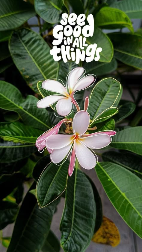 Flower Captions For Instagram, Beautiful Flower Quotes, Nature Photography Quotes, Instagram Design Creative, Instagram Creative Ideas, Nature Instagram, Instagram Graphic, Nothing But Flowers, Doodle On Photo