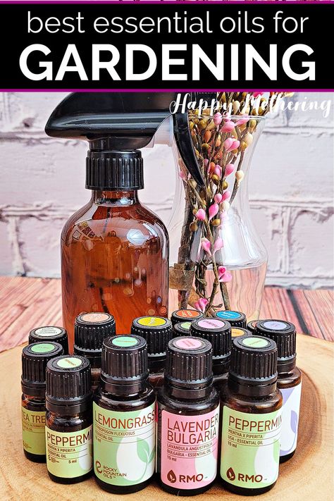 Best Essential Oils for Gardening Plus Recipes - Happy Mothering Diy Bug Repellent, Melaleuca Essential Oil, Essential Oil Mixtures, Oils Essential, Lavender Spray, Plant Fungus, Cinnamon Oil, Cinnamon Essential Oil, Plant Therapy