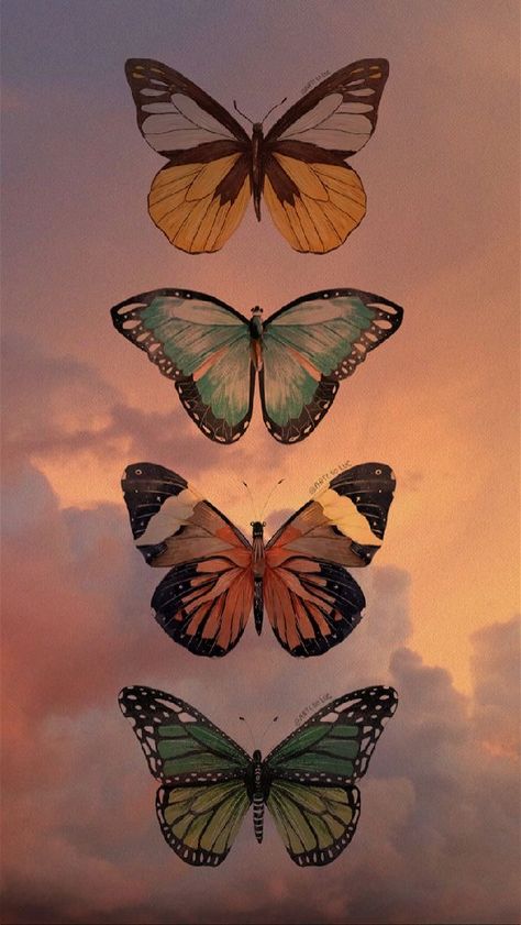 Butterfly Wallpaper Backgrounds, Iphone Lockscreen Wallpaper, Cellphone Wallpaper Backgrounds, Trending Pins, Wallpaper Nature Flowers, Butterfly Pictures, Iphone Wallpaper Photos, Iphone Wallpaper Themes, Backgrounds Phone Wallpapers