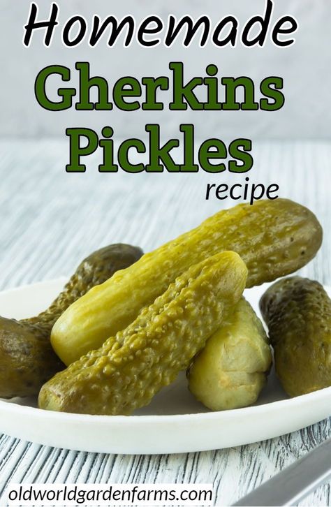 Sweet Gherkin Pickle Recipe, Gherkins Pickles, Pickle Making, Pickles Homemade Easy, Sweet Pickles Homemade, Pickle Recipes Homemade, Dill Pickle Recipe, Cucumber Canning, Pickles Recipe